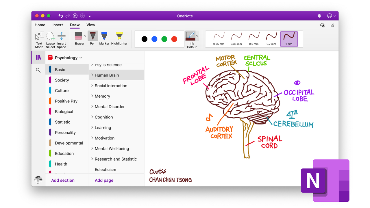 Upgrade Your Note Taking Game With These 6 Free Customizable OneNote 